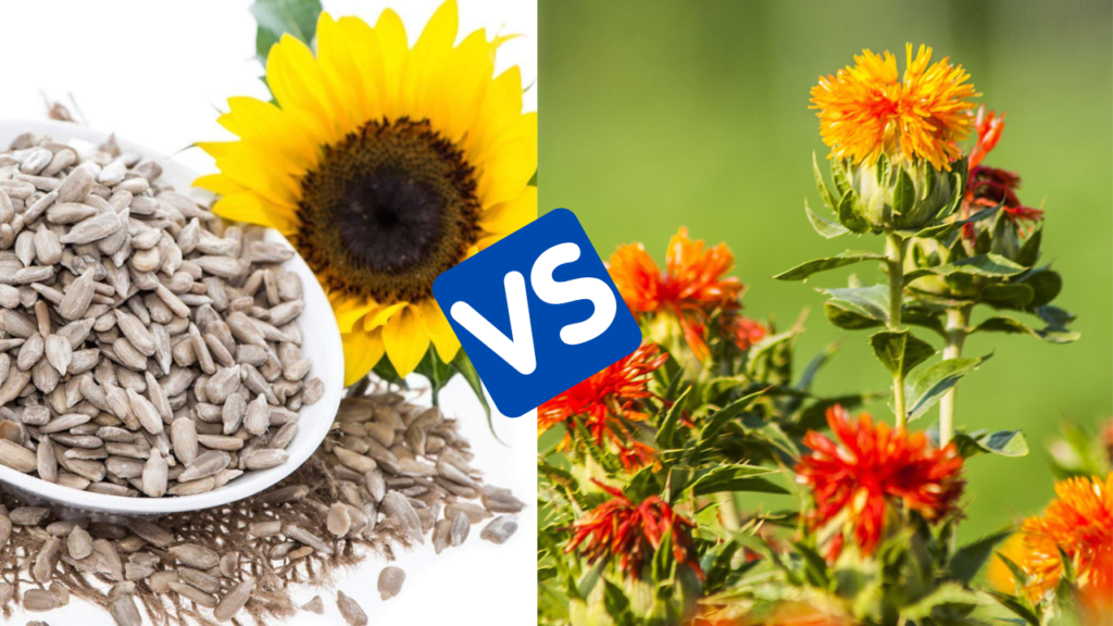 Which Is Better For Birds: Safflower vs Sunflower Seeds: A Comprehensive Comparison